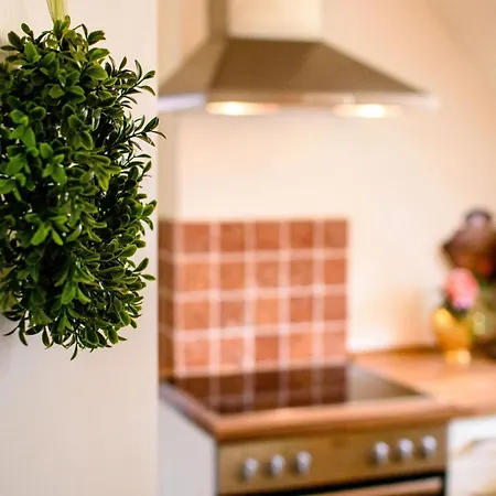 Gemuetliche In Mit Garten By Interhome