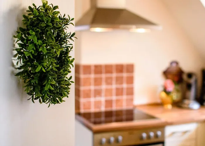 Gemuetliche In Mit Garten By Interhome